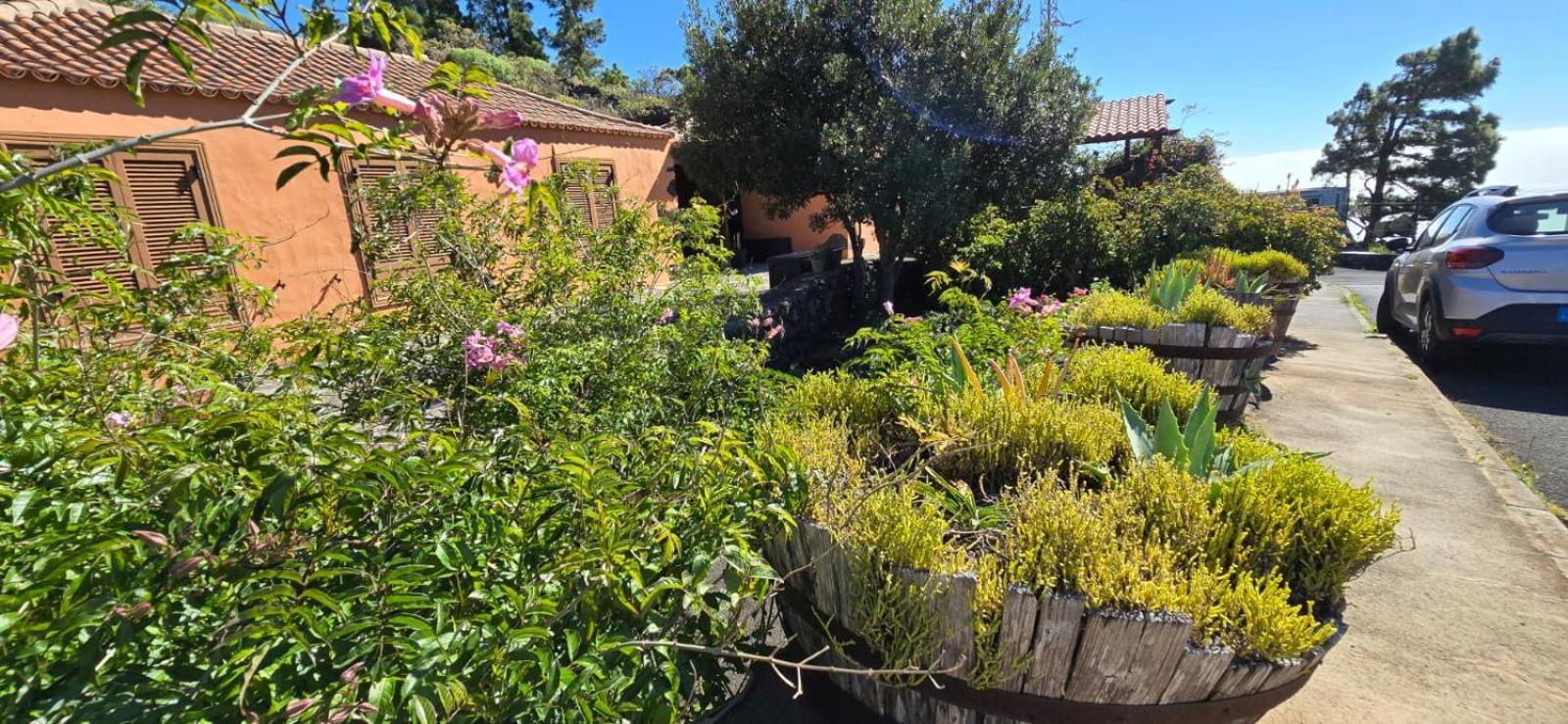 Vivienda Vacacional El Lagar, Bodega A Fuencaliente de la Palma Eksteriør bilde