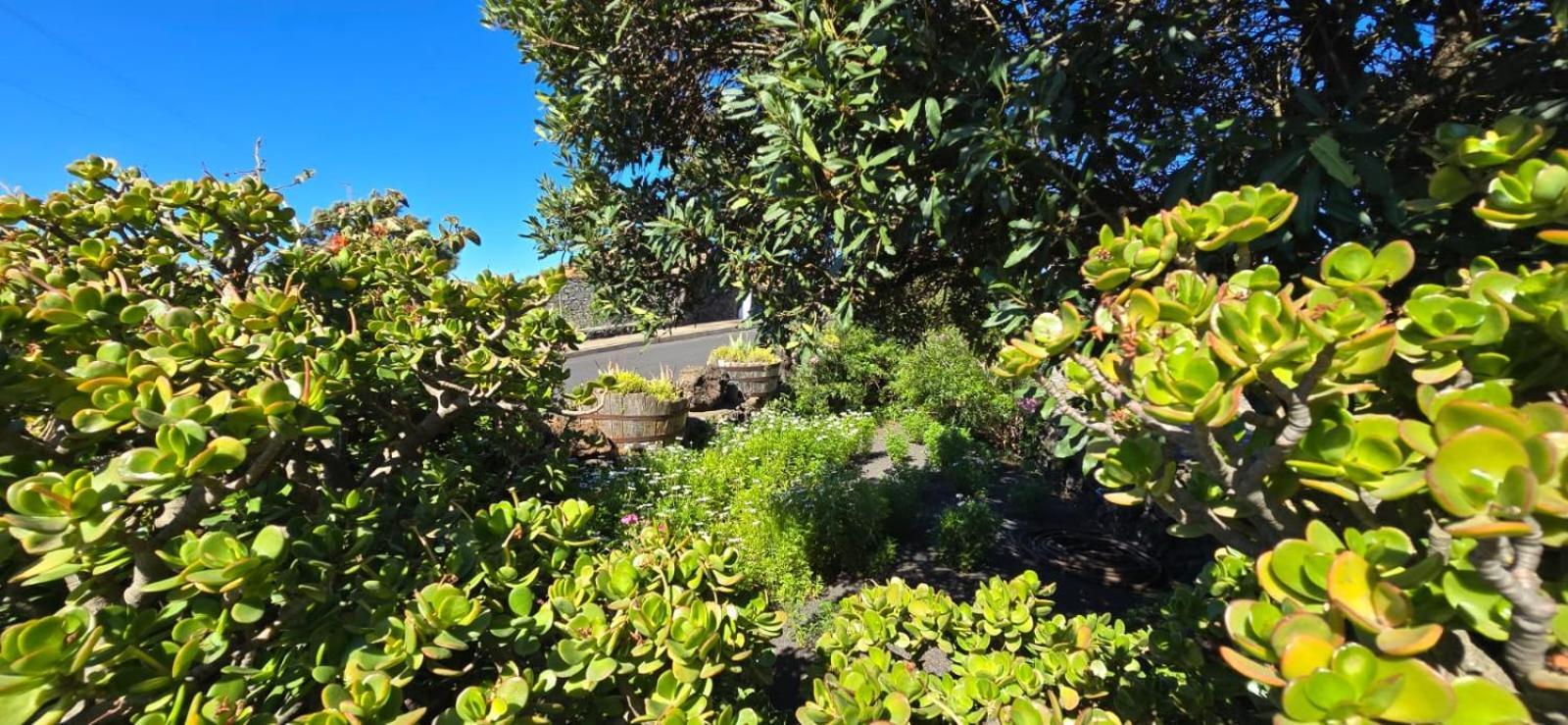 Vivienda Vacacional El Lagar, Bodega A Fuencaliente de la Palma Eksteriør bilde