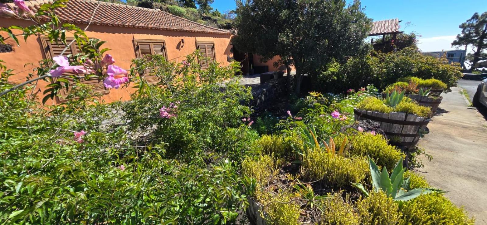 Vivienda Vacacional El Lagar, Bodega A Fuencaliente de la Palma Eksteriør bilde